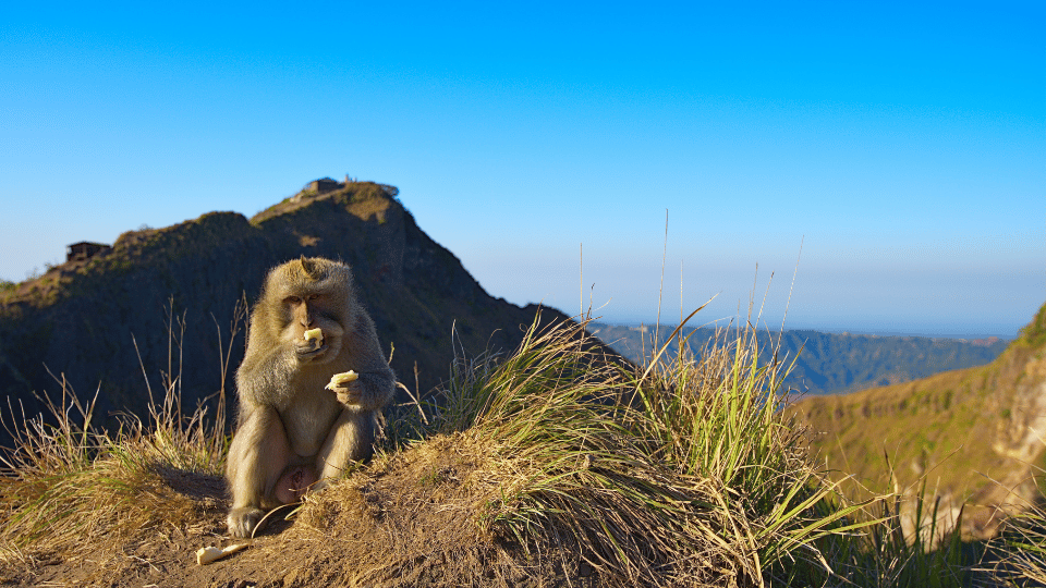 10 Things You Absolutely Must Do in Bali